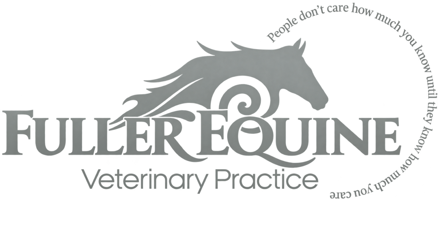 Fuller-Equine-transparent-1536x798